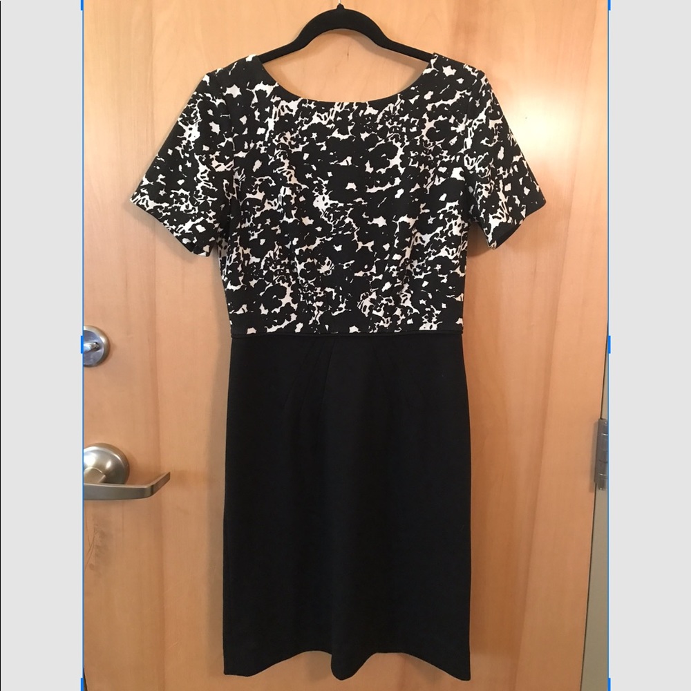 Tahari Black and White Sheath Dress